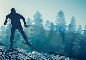 Nordic Experience 2025