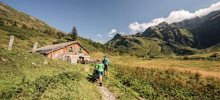 Alm Kinderwagen
