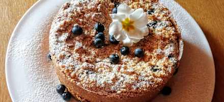 Frisch gebackener Heidelbeer-Käsekuchen von der Franz-Fischer-Hütte