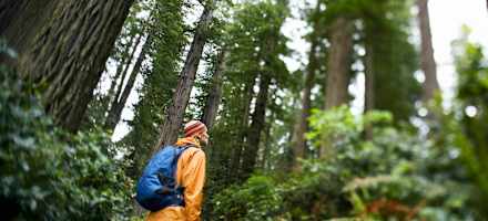Wanderer bei Regen im Wald