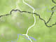 Faschaunereck