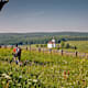 Radfernweg Sächsische Mittelgebirge und Erzgebirgsradmagistrale