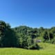 Von Uitikon-Waldegg zum Uetliberg