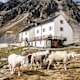 Düsseldorfer Hütte