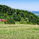 Lilienfelder Hütte