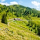 Loosbühelalm