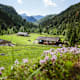 Schwarzachen Alm