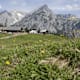 Walderalm