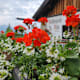 Reitherjoch Alm