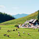 Buchberghütte-Eisenaualm