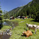Bergseeweg - Von der Ursprungalm zur Eschachalm