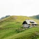 Feistritzer Alm