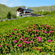 Meraner Hütte