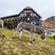 Millstätter Hütte