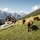 Hufeisentour Karwendel - Etappe 2: Von der Plumsjochhütte zur Eng Alm