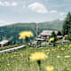 Roaner Alm
