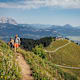 Wanderung zur Harschbichlalm von St. Johann in Tirol