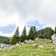 Wanderung zur Siglhütte von Osterhofen/Bayrischzell