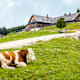 Stoißer Alm