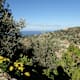 Mallorca GR221 - Etappe 7: Von Deià nach Sóller