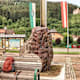 Styrian Iron Trail - Etappe 6: Von Eisenerz zur Sonnschienalm