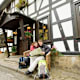 WesterwaldSteig Etappe 11: Vom Kloster Marienthal nach Weyerbusch