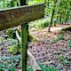 Waldromantikweg
