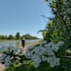 Teutoschleifchen Steinbecker Runde