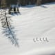 Schneeschuhrundtour Jamnigalm