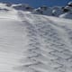 Hörtlaner