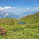 2-Seen-Wanderung am Pizol