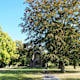 Königswinter - Klosterlandschaft Heisterbach