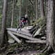 Singletrail Wiesenalm am Rohrberg