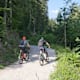 Unterer Hofwald