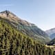 Wald und Wild erwachen – Wildtierbeobachtungsturm Oberhaus im Nationalpark Hohe Tauern Osttirol