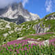Wanderung zur Allievi-Bonacossa-Hütte von der Val di Mello
