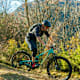 Latscher Trailzauber
