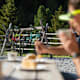 Latscher Alm-Tour