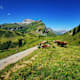 Karhornrundweg über Hochtannbergpass