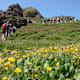 Drei Gipfel in einem - Nösslachjoch, Eggerberg & s‘Kreuzl