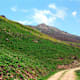 Rundroute Sidanalm - Rastkogelhütte