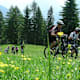 Bovarina Bike