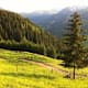 Buchegg Trail