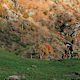 Castagno Tour
