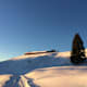 Winterwanderung zur Oberen Mittelalpe vom Riedbergpass