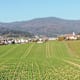 Weg der Entschleunigung - Gipfelge(h)nuss pur - Etappe 1: Aigen-Schlägl - Schwarzenberg