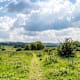 DER HOCHRHÖNER® Lange Rhön - Etappe 4: Von Birx nach Kaltensundheim