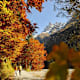 Engelberg - Schwand - Bergli