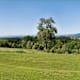 Donausteigrunde: Freinberg - Passaublick-Severinsweg