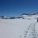 Von Chur aufs Fulhorn